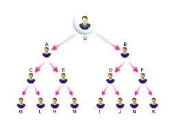 Binary MLM software