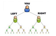 binary mlm software in india